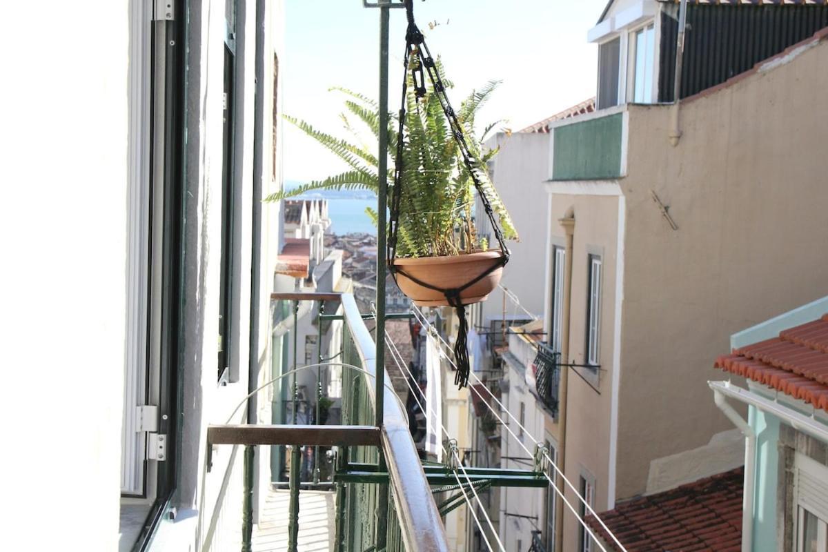 Apartment Martim Vaz Ii - Downtown Lissabon
